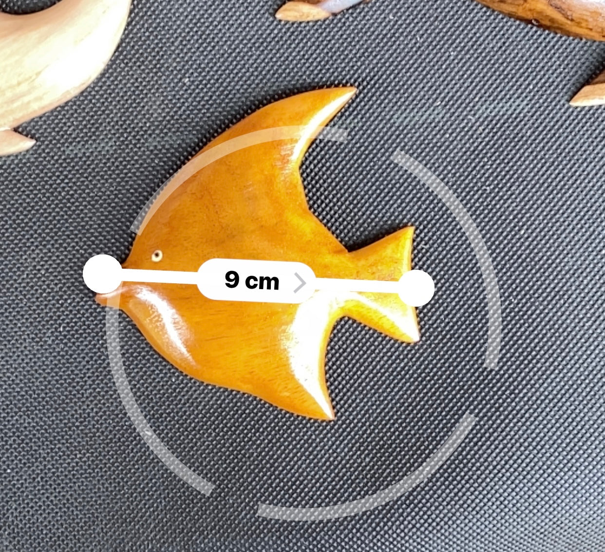 Angle Fish - Wall Hanging