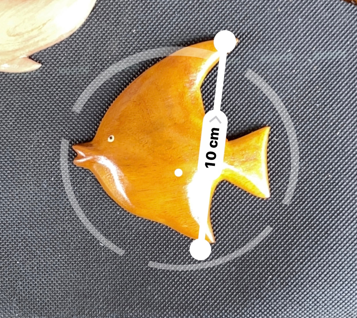 Angle Fish - Wall Hanging