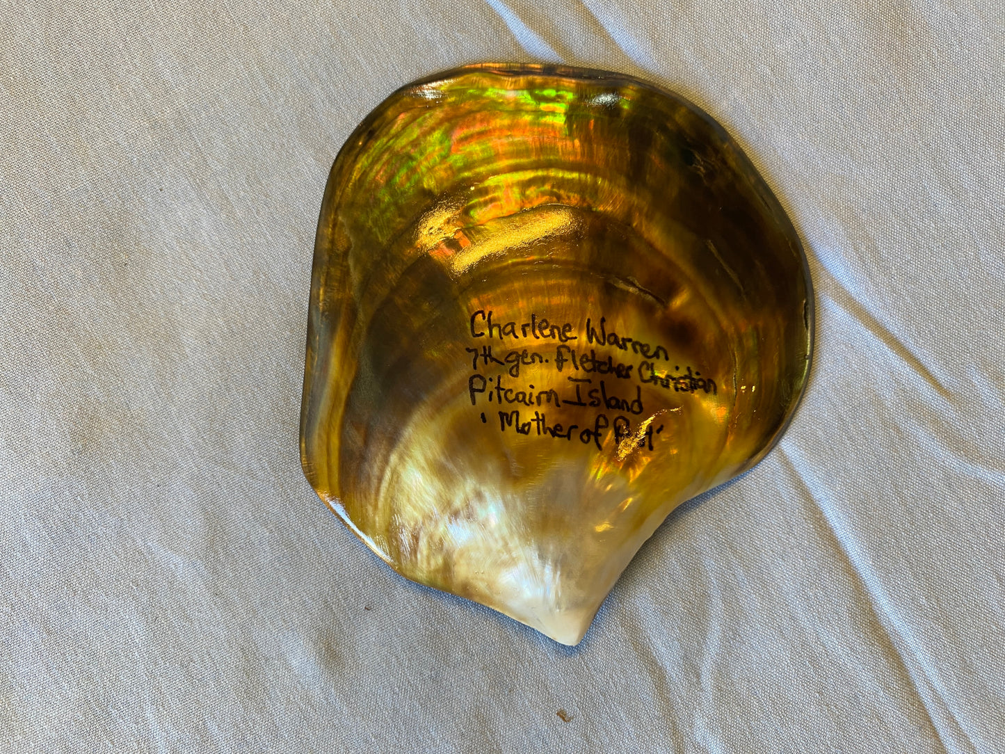 Hand Painted Mother of Pearl Shell